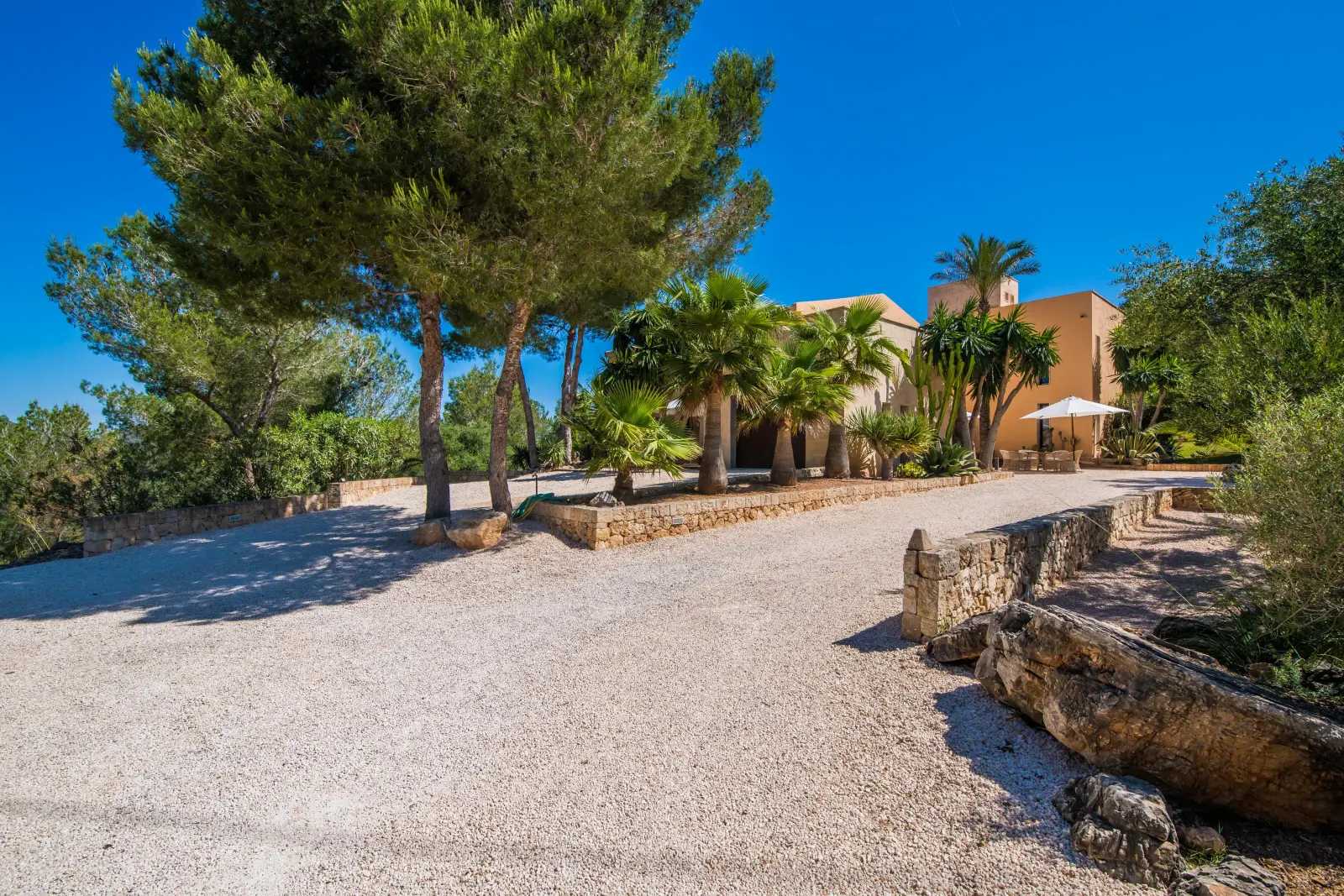 Kiesauffahrt zur Finca zwischen Pinien, Palmen und Natursteinen