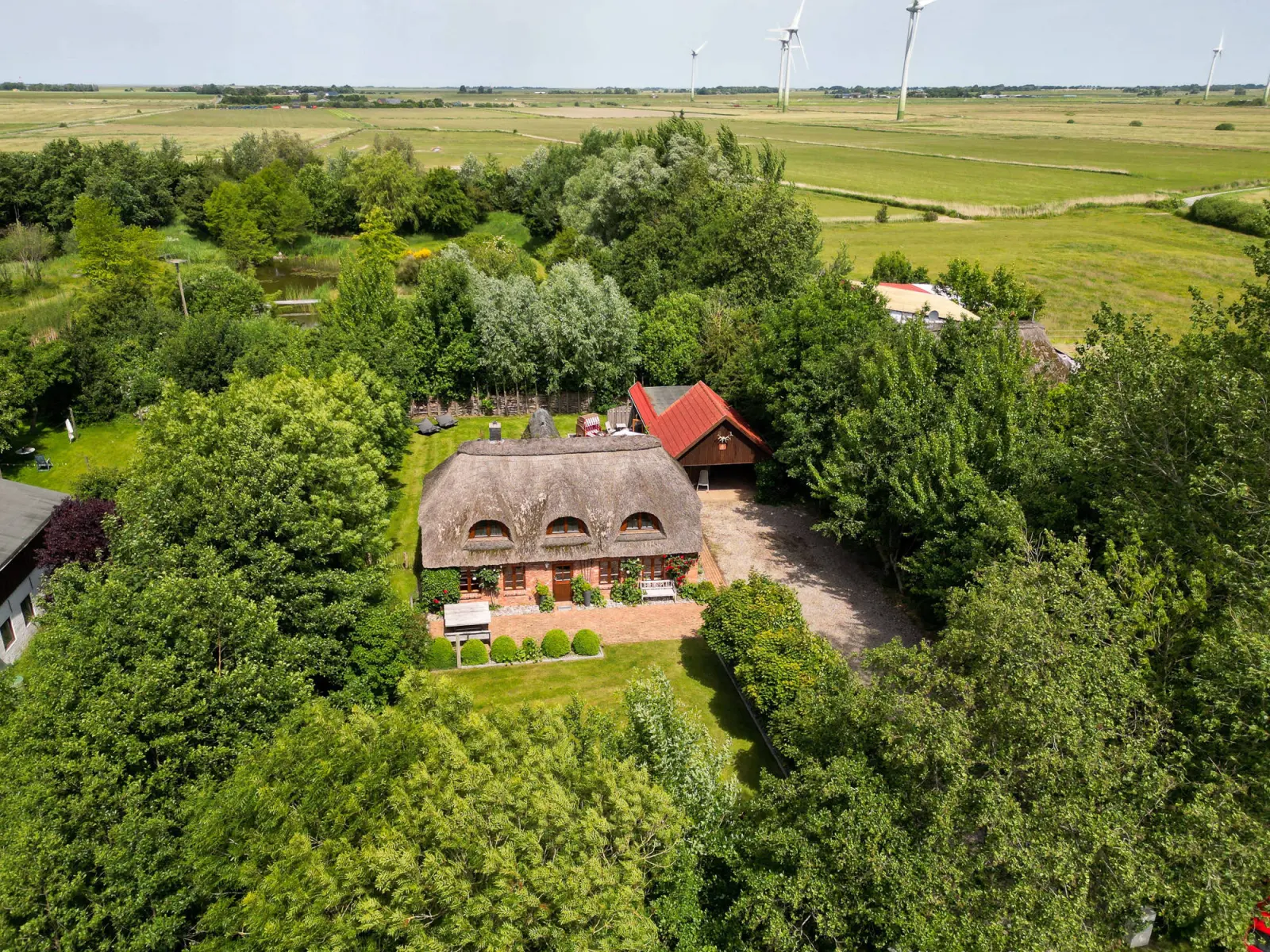 Luftbild des Reetdachhauses zwischen Bäumen mit Marschlandschaft und Windrädern