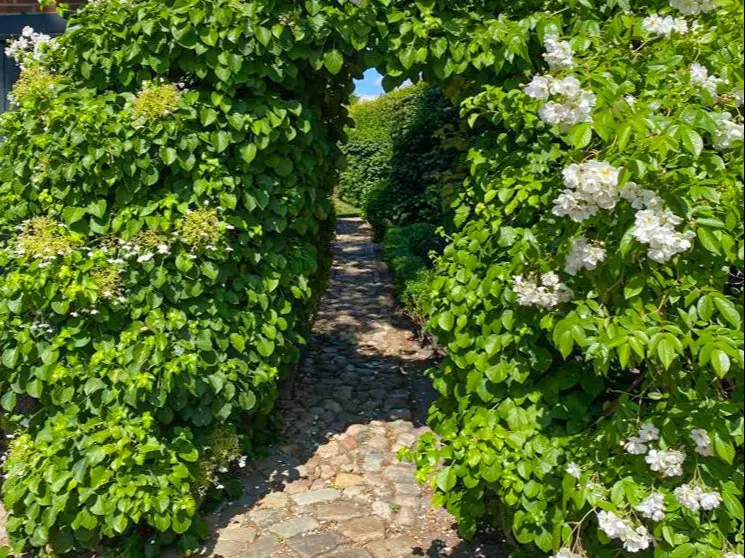 Blühender Heckengang mit Natursteinpflaster im Garten des Landhauses