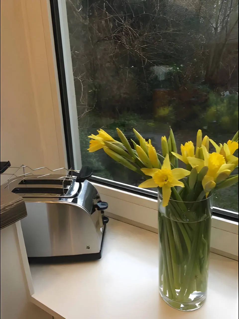 Gelbe Narzissen in der Vase und Toaster auf der Fensterbank der Küche