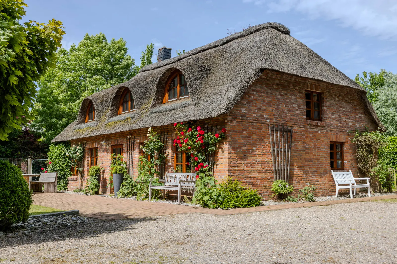 Seitenansicht des Reetdachhauses mit blühenden Rosen, Holzbänken und Kiesauffahrt