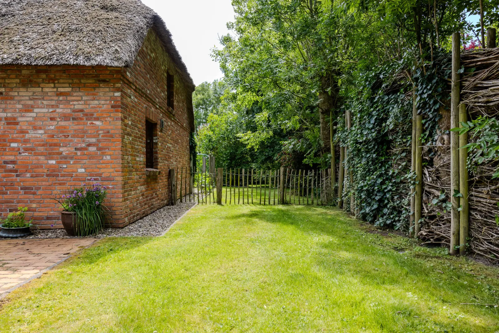 Seitlicher Gartenstreifen mit Rasen, Staketenzaun und Efeuhecke am Reetdachhaus