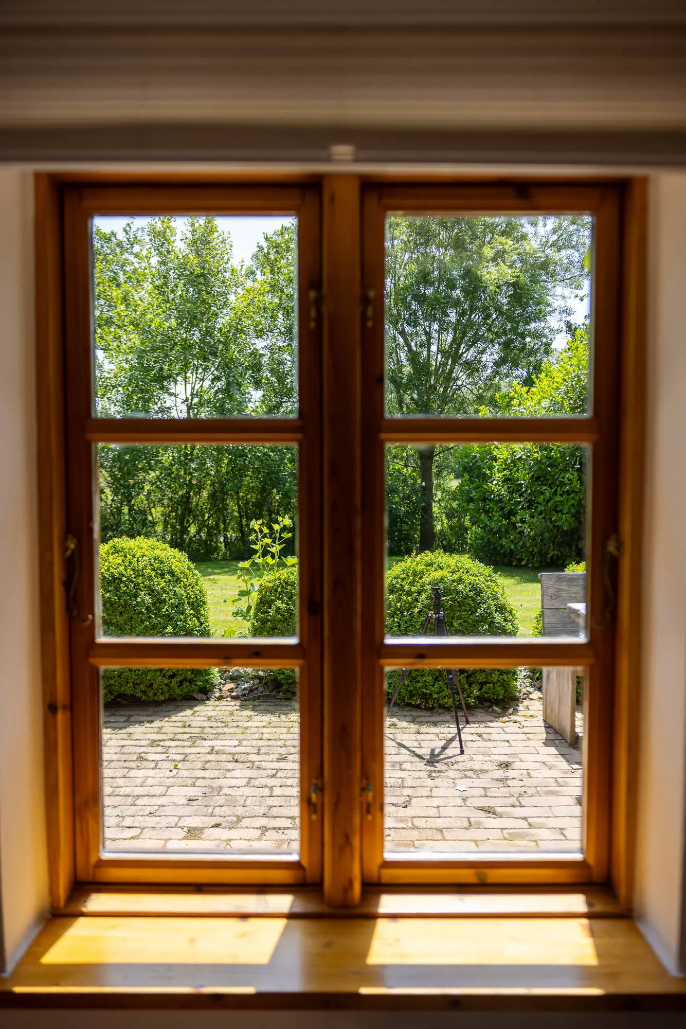 Sprossenfenster mit Blick auf Buchsbaumkugeln und Pflaster im Garten