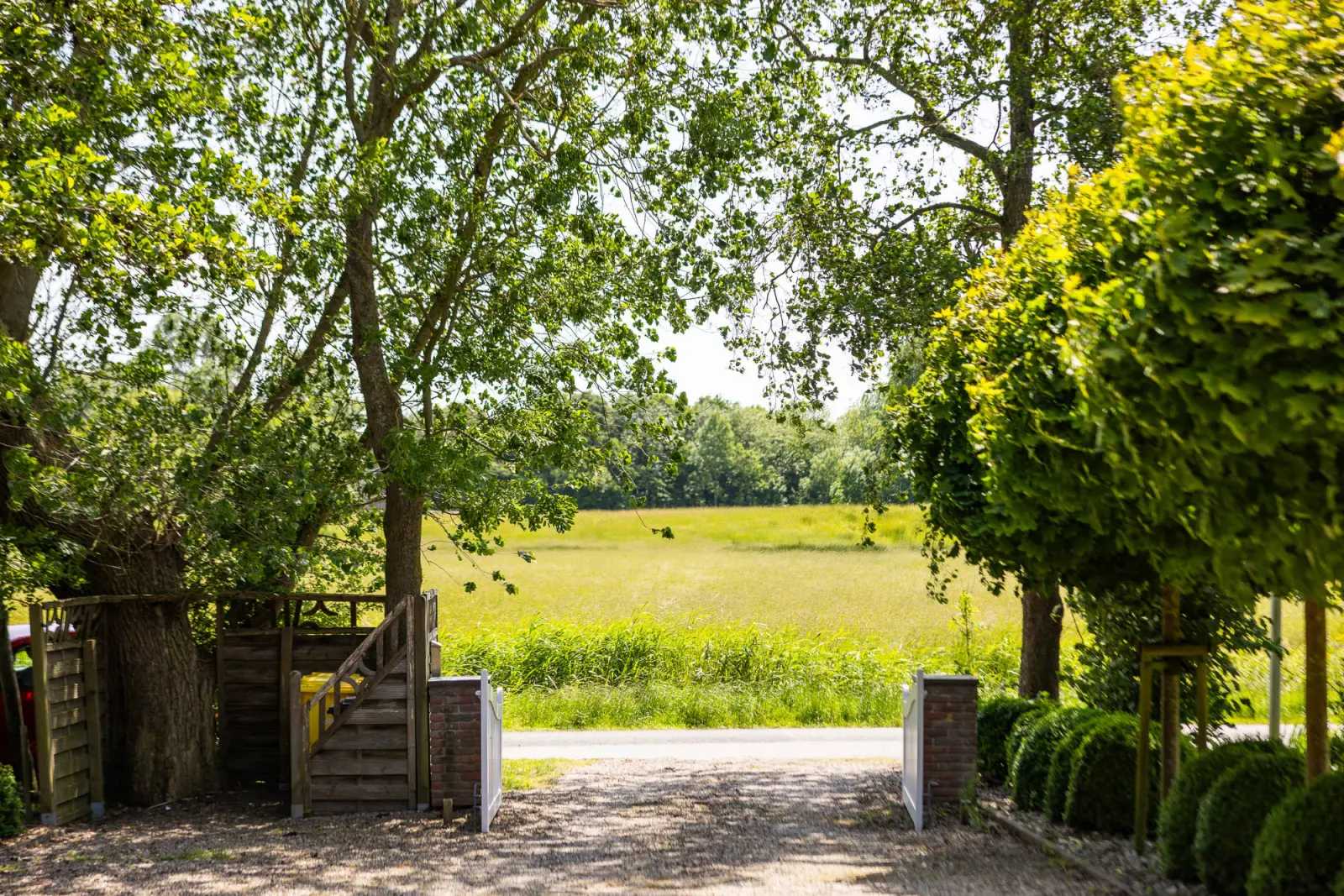 Einfahrt unter Bäumen mit Blick auf Felder und Holztreppe am Deich