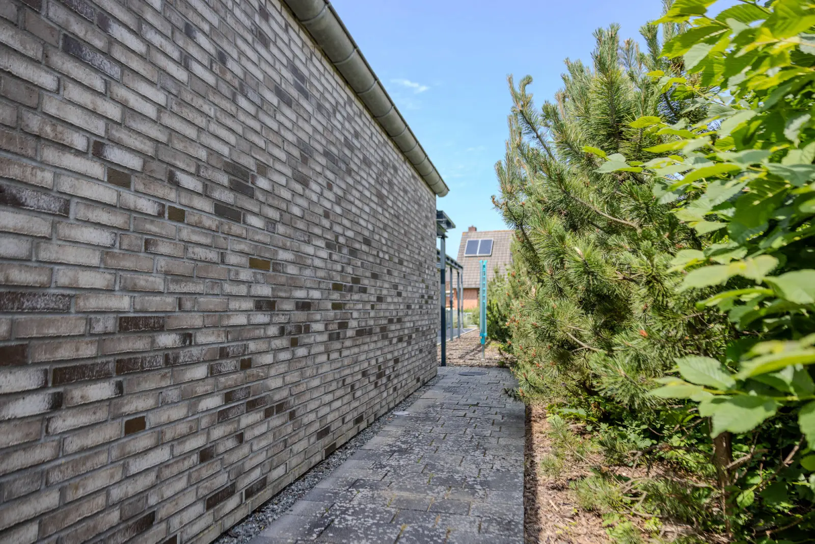 Backsteinwand mit schmalem Plattenweg zwischen Hauswand und Kiefern