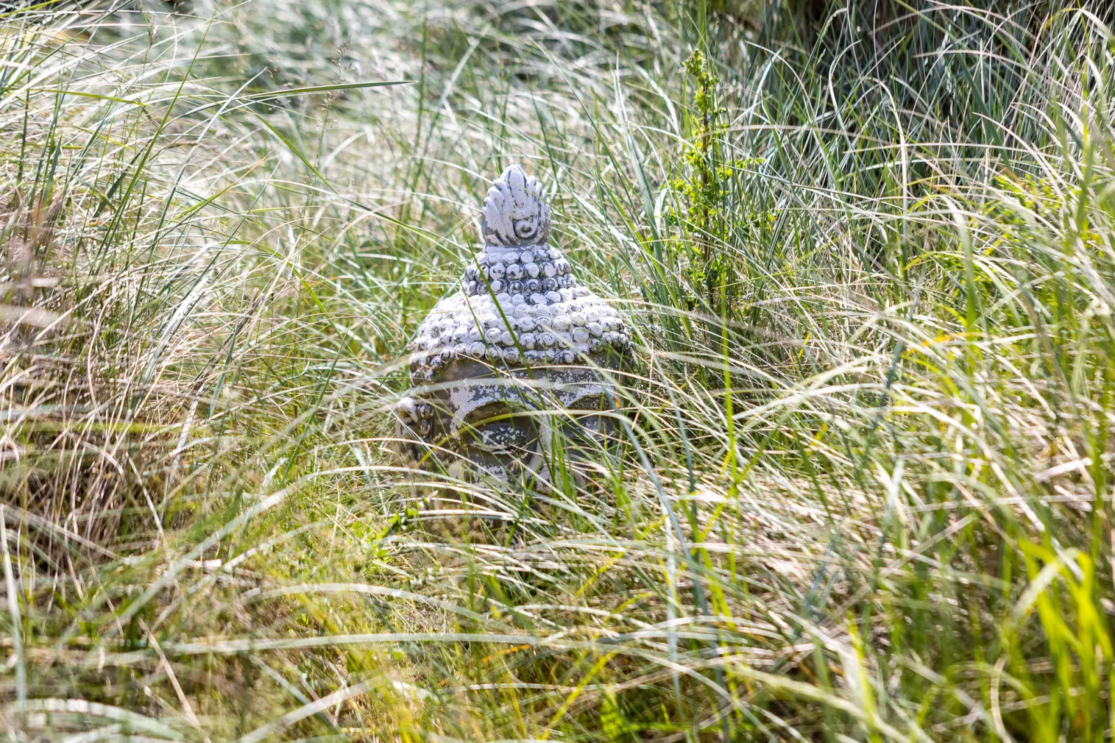 Buddha-Figur zwischen hohem Dünengras im Garten