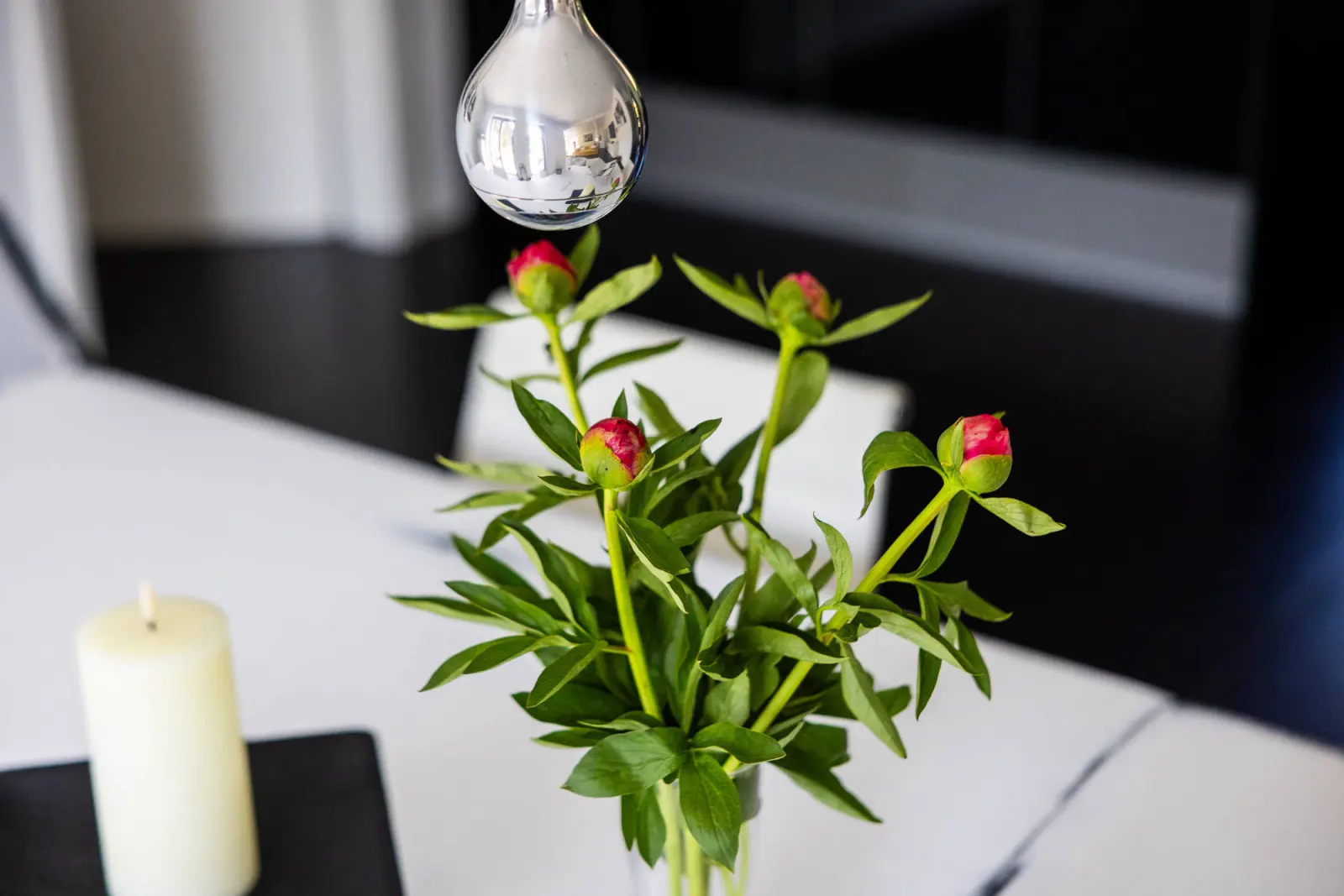 Pfingstrosenknospen in der Vase mit Kerze auf dem Tisch