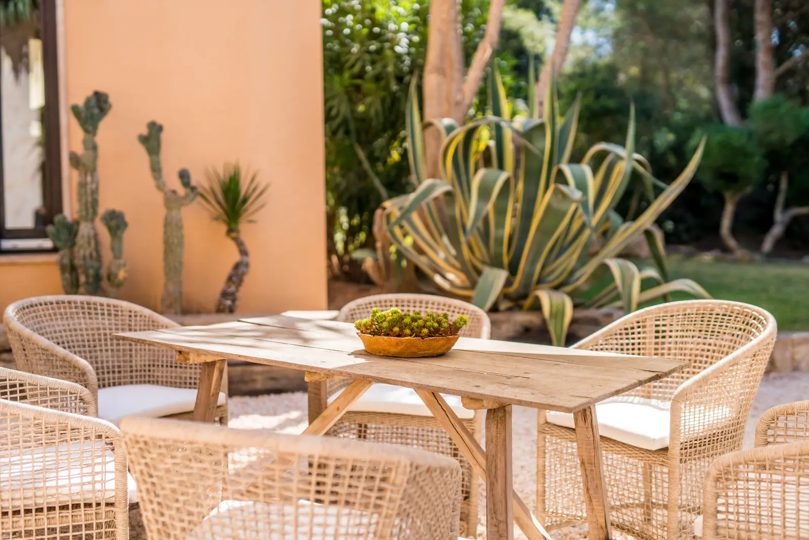 Runder Holztisch mit Rattanstühlen und Obstschale vor Kakteen und Agave
