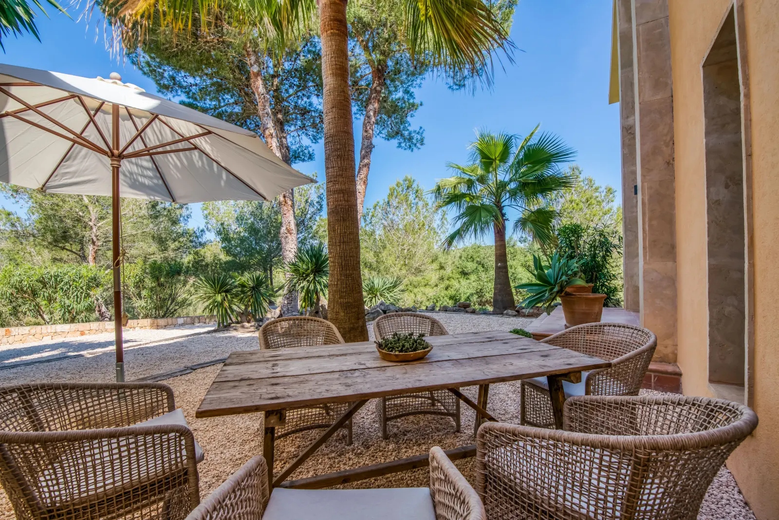 Holztisch mit Rattanstühlen im Schatten unter Palmen auf der Terrasse